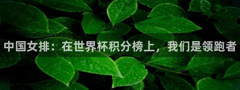 世界杯对阵表：中国女排：在世界杯积分榜上，我们是领跑者
