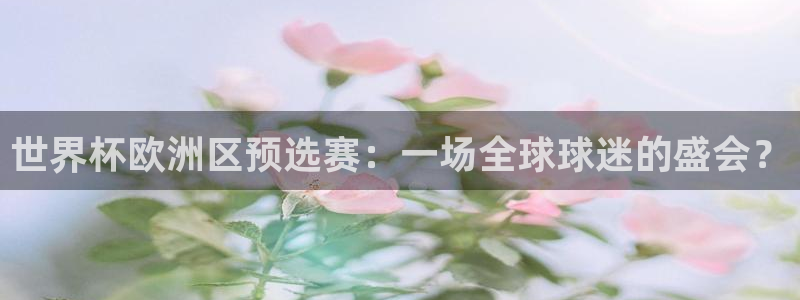 今年的世界杯：世界杯欧洲区预选赛：一场全球球迷的盛会？