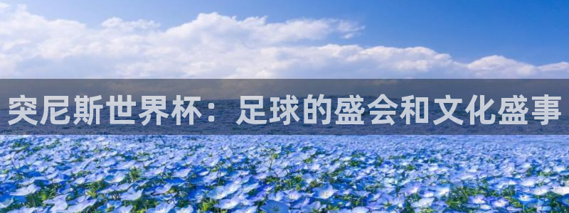 2026世界杯倒计时：突尼斯世界杯：足球的盛会和文化盛事