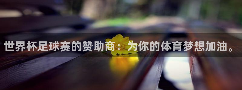 世界杯比赛直播：世界杯足球赛的赞助商：为你的体育梦想加油。
