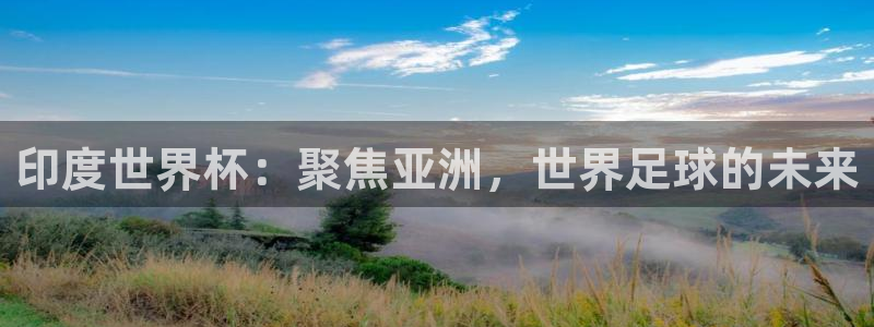 2026世界杯：印度世界杯：聚焦亚洲，世界足球的未来