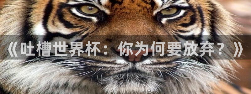 世界杯官网入口：《吐槽世界杯：你为何要放弃？》