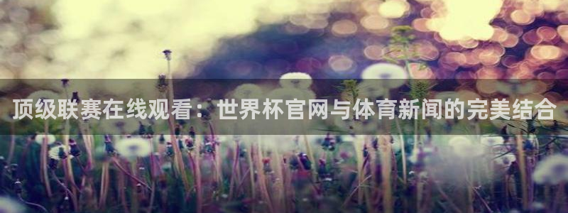 2026世界杯赛：顶级联赛在线观看：世界杯官网与体育新闻的完美结合