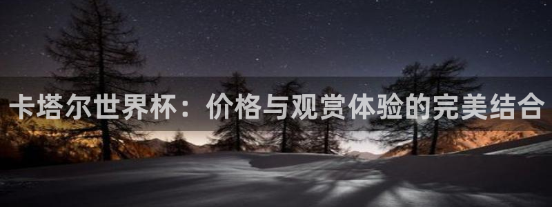 世界杯48支球队赛制：卡塔尔世界杯：价格与观赏体验的完美结合