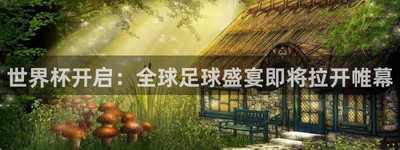 2026世界杯：世界杯开启：全球足球盛宴即将拉开帷幕