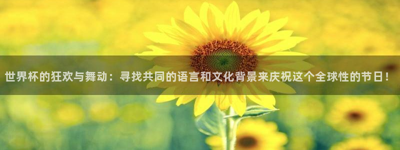 亚洲区世界杯预选赛：世界杯的狂欢与舞动：寻找共同的语言和文化背景来庆祝这个全球性的节日！