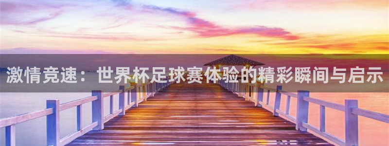 世界直播：激情竞速：世界杯足球赛体验的精彩瞬间与启示