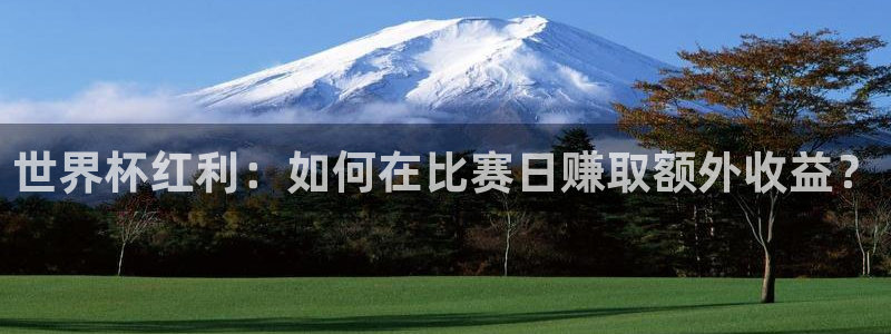 世界杯预选赛欧洲：世界杯红利：如何在比赛日赚取额外收益？