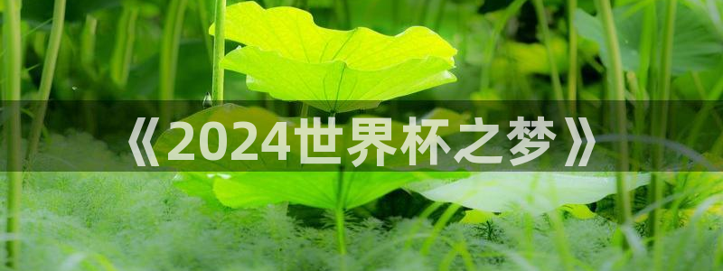 世俱杯直播：《2024世界杯之梦》