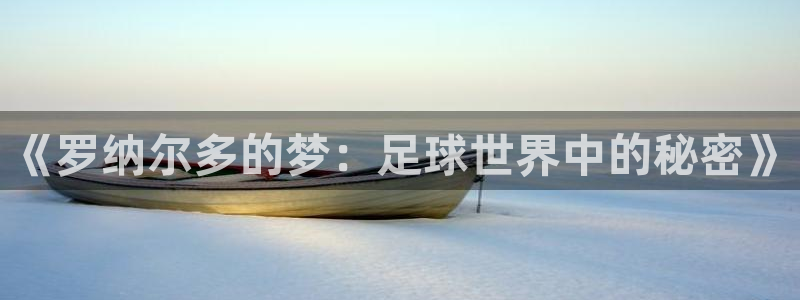 2026男足世界杯赛程：《罗纳尔多的梦：足球世界中的秘密》