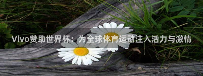 2006年世界杯冠军：Vivo赞助世界杯：为全球体育运动注入活力与激情