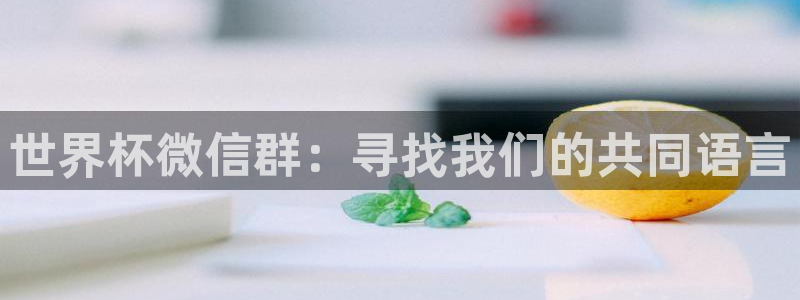 今天所有足球赛程表：世界杯微信群：寻找我们的共同语言